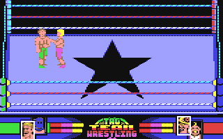 Screenshot for American Tag-Team Wrestling