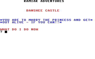 Screenshot for Banshee Castle