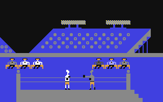 Screenshot for Boxing