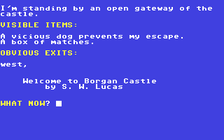 Screenshot for Curse of Borgan Castle, The