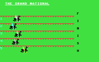 Screenshot for Grand National, The