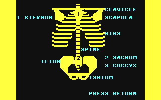 Screenshot for Learn the Bones