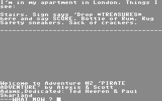 Screenshot for Pirate Adventure