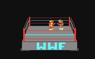 Screenshot for WWF Wrestling